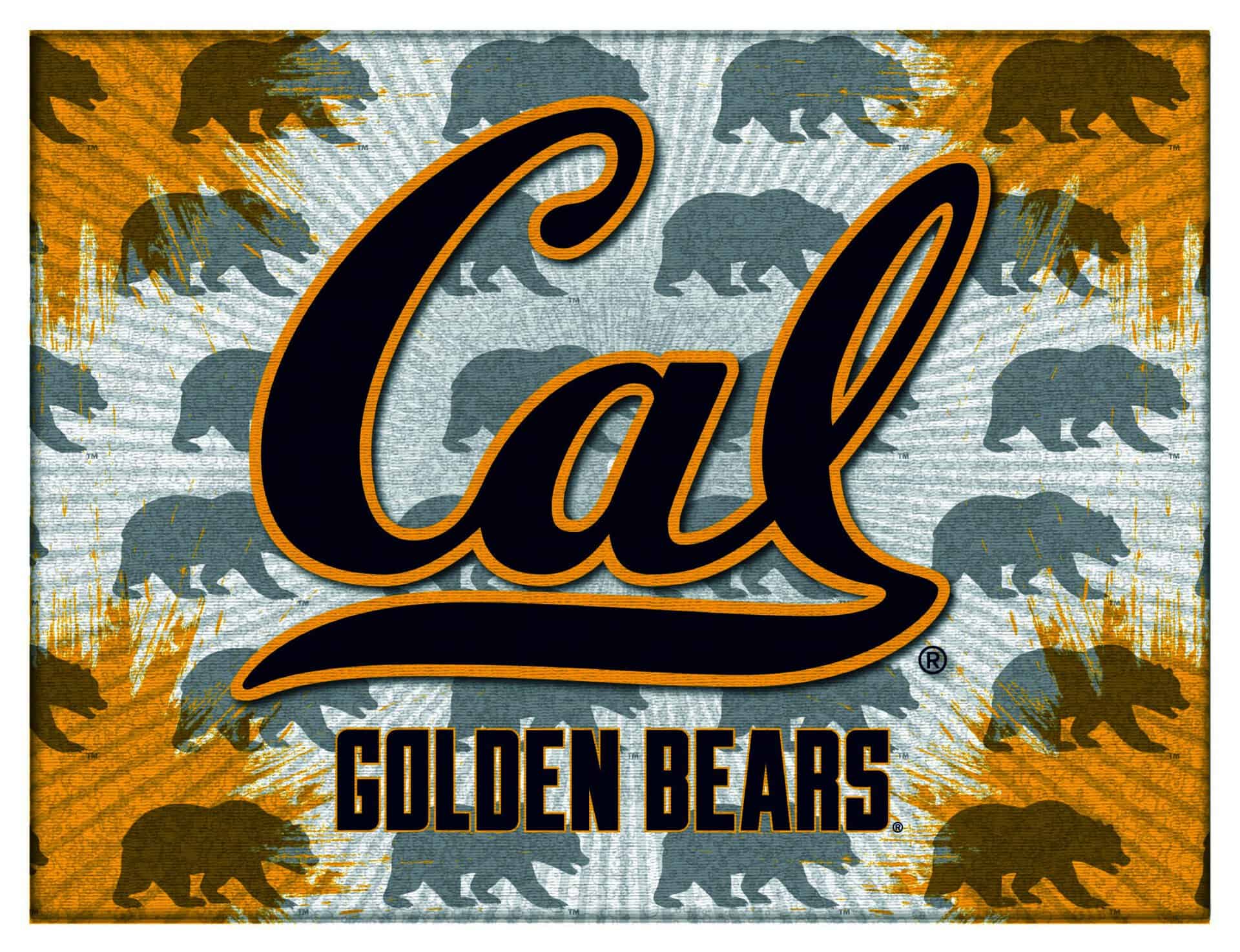 University of California 24x32 Logo Canvas Wall Art 3 University of California 24x32 Logo Canvas Wall Art