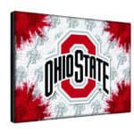Ohio State University 24x32 Logo Canvas Wall Art