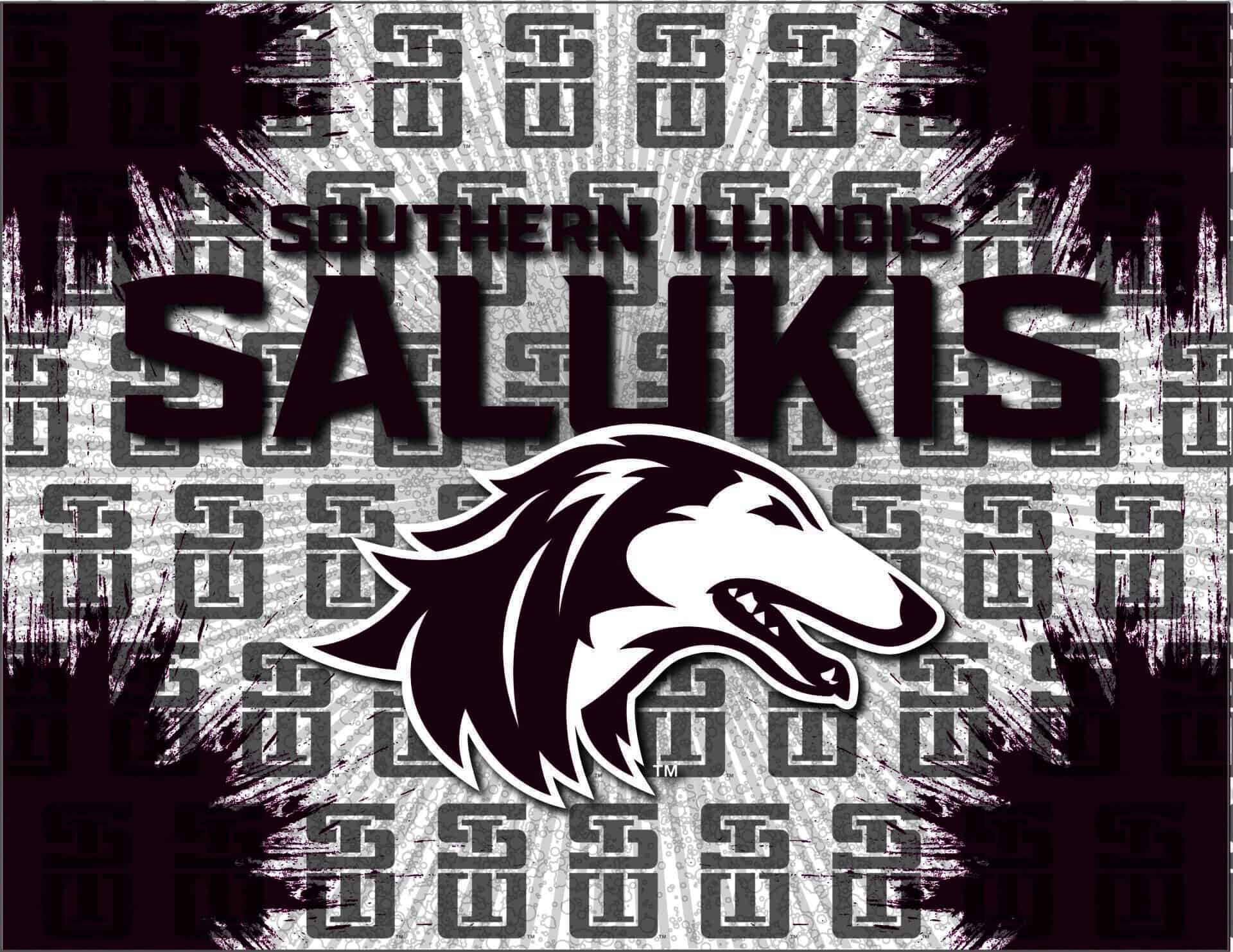 Southern Illinois University 24x32 Logo Canvas Wall Art 1 Southern Illinois University 24x32 Logo Canvas Wall Art