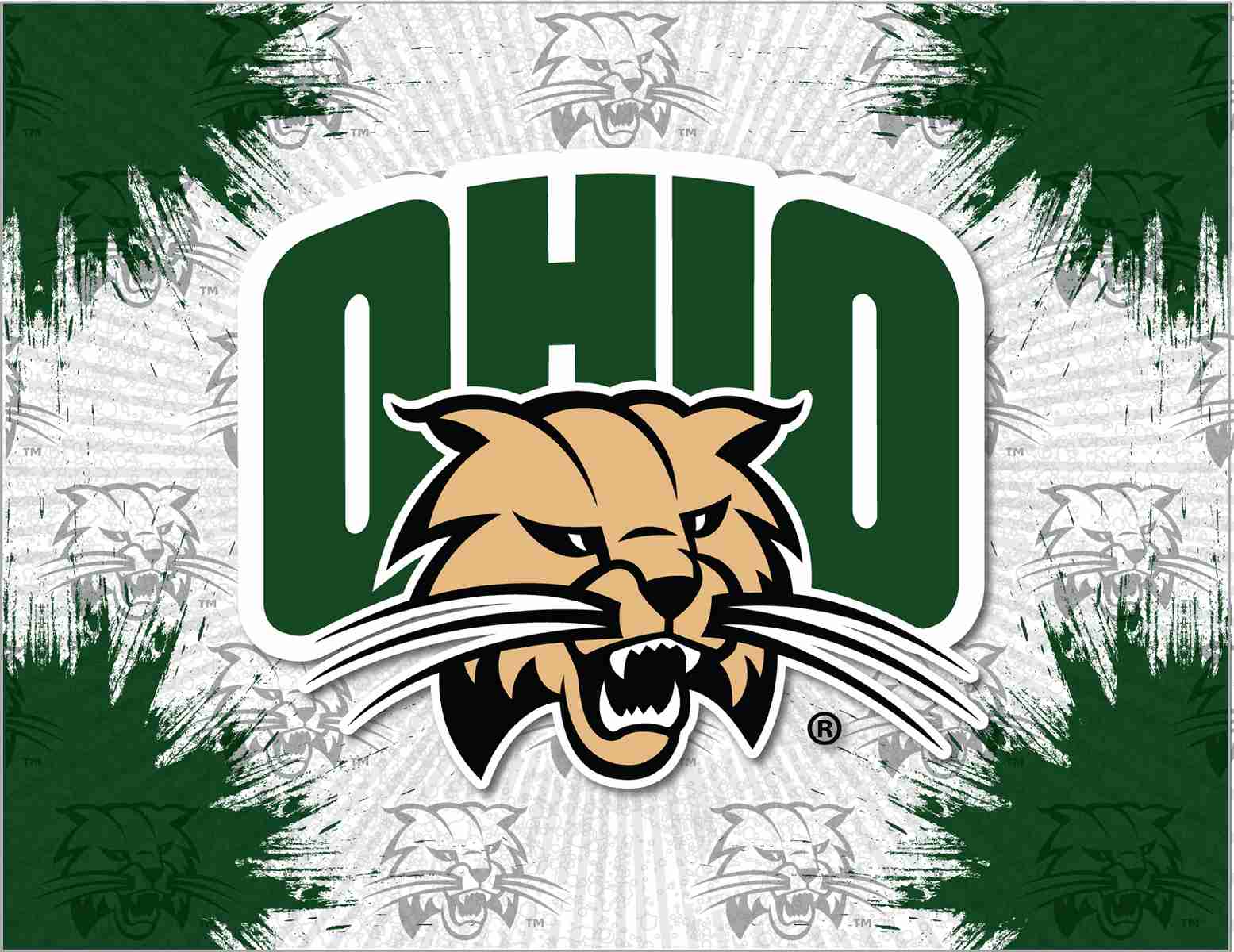 Ohio University 15x20 Logo Canvas Wall Art 1 Ohio University 15x20 Logo Canvas Wall Art