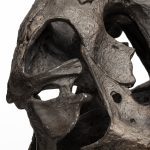Lagrane 19L x 11W Brown Resin Tyrannosaurus T Rex Dinosaur Skull Replica 22 Lagrane 19L x 11W Brown Resin Tyrannosaurus T Rex Dinosaur Skull Replica
