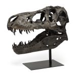 Lagrane 19L x 11W Brown Resin Tyrannosaurus T Rex Dinosaur Skull Replica 12 Lagrane 19L x 11W Brown Resin Tyrannosaurus T Rex Dinosaur Skull Replica