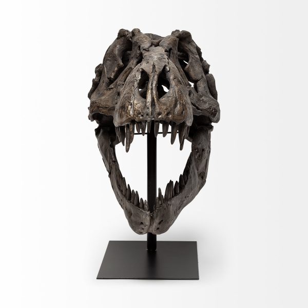 Lagrane 19L x 11W Brown Resin Tyrannosaurus T Rex Dinosaur Skull Replica 3