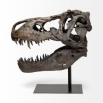 Lagrane 19L x 11W Brown Resin Tyrannosaurus T Rex Dinosaur Skull Replica 16 Lagrane 19L x 11W Brown Resin Tyrannosaurus T Rex Dinosaur Skull Replica