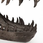 Lagrane 19L x 11W Brown Resin Tyrannosaurus T Rex Dinosaur Skull Replica 21 Lagrane 19L x 11W Brown Resin Tyrannosaurus T Rex Dinosaur Skull Replica