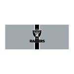 Las Vegas Raiders Chrome USB Charging Lamp