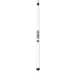 Las Vegas Raiders Laser Etched Maple Shorty Billiard Cue