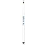 Laser Etched Maple Shorty Billiard Cue New England Patriots