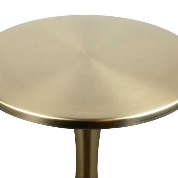 Lenuxe 24 Contemporary Gold Metal Accent Table 5