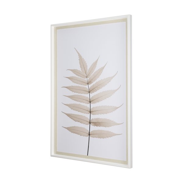Limber Leaves by Assaf Frank a Framed Art Print Matted under Glass 2