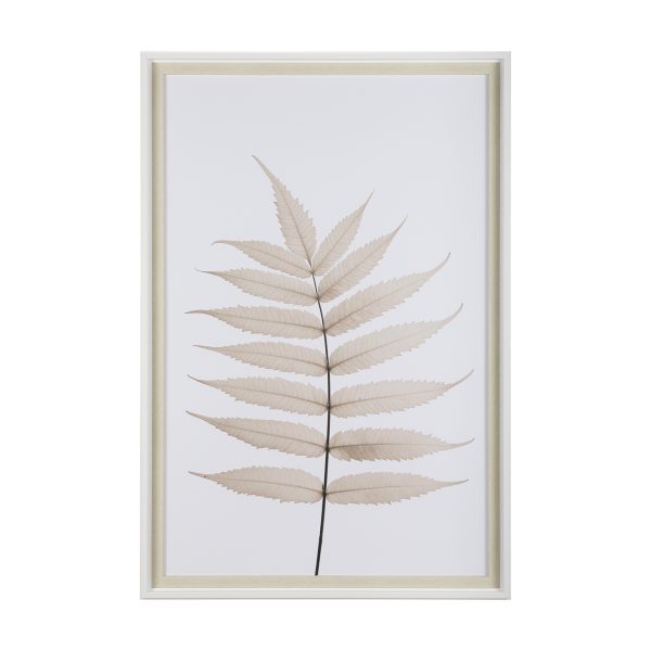 Limber Leaves by Assaf Frank a Framed Art Print Matted under Glass