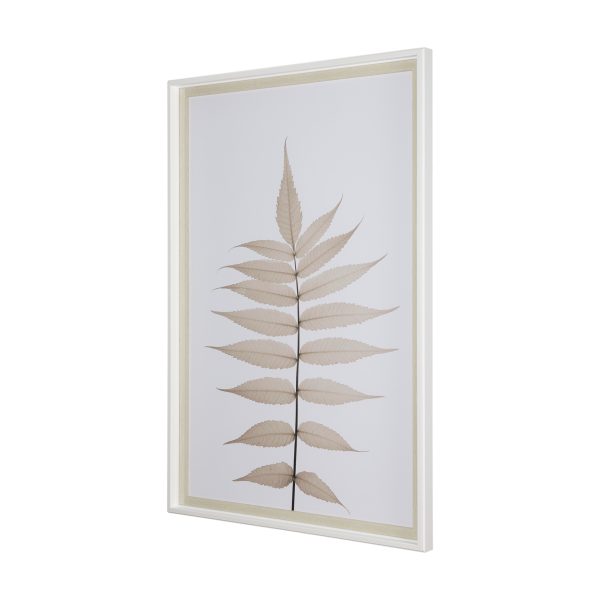 Lithe Leaves by Assaf Frank a Framed Art Print Matted under Glass 3