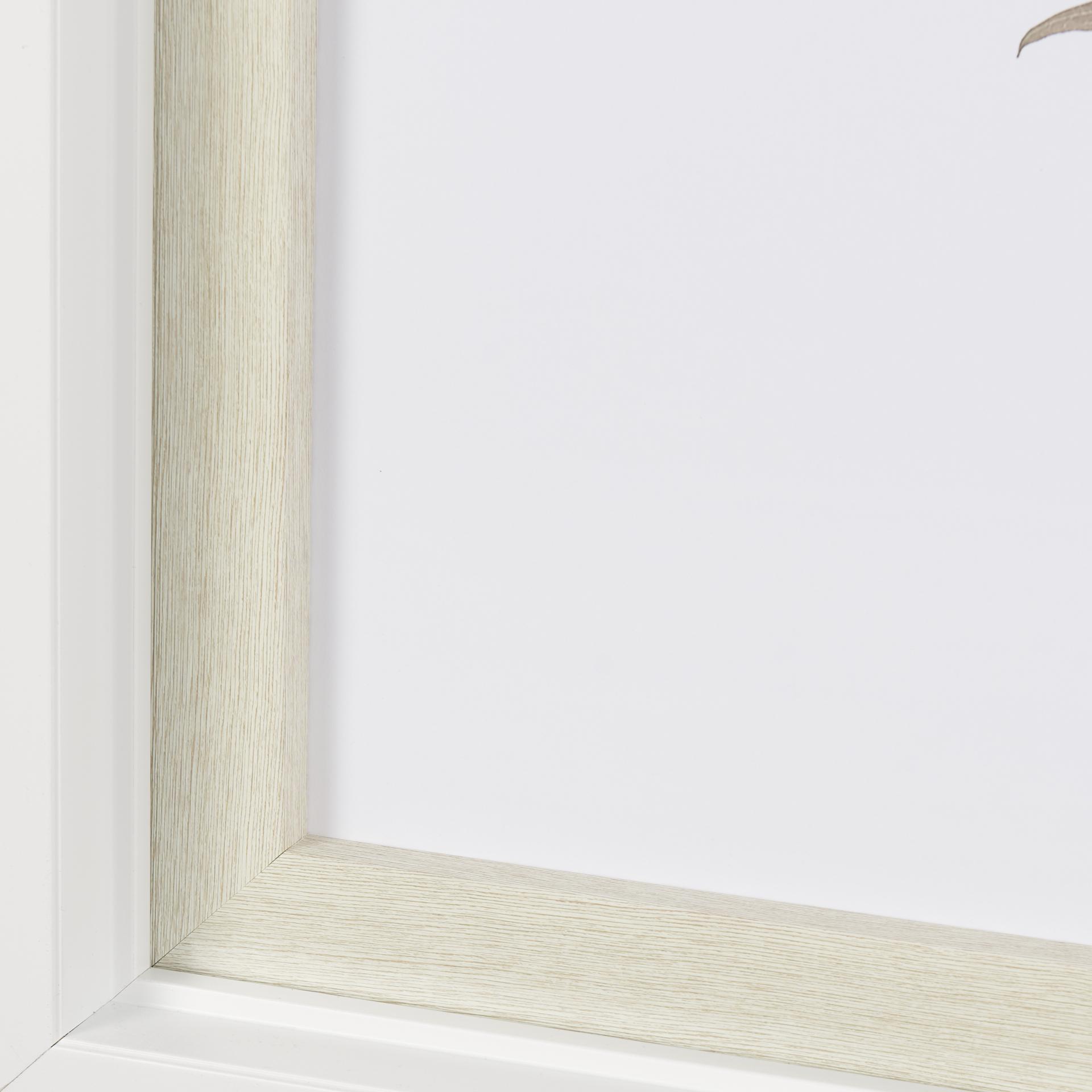 Lithe Leaves by Assaf Frank a Framed Art Print Matted under Glass 6 Lithe Leaves by Assaf Frank a Framed Art Print Matted under Glass - Image 6