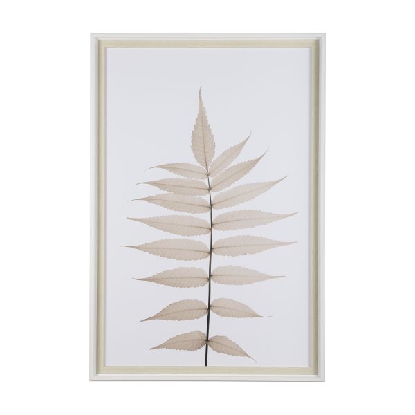 Lithe Leaves by Assaf Frank a Framed Art Print Matted under Glass