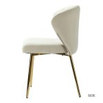 Luna Tan Velvet Channel Tufted Contemporary Accent Side Chair 8 Luna Tan Velvet Channel Tufted Contemporary Accent Side Chair