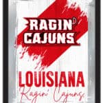 University of Louisiana at Lafayette 17x22 Logo Wall Mirror (Alternate)