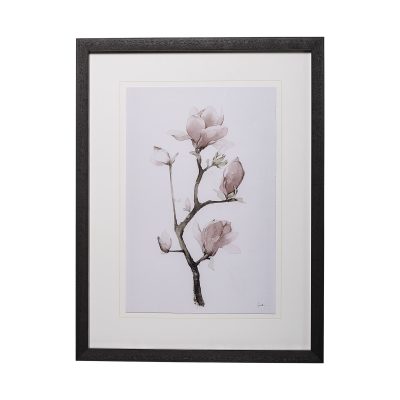 Magnolia I by Gabrielle C a Framed Art Print Matted under Glass