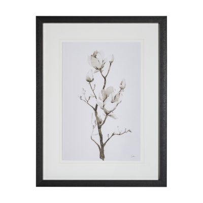 Magnolia II by Gabrielle C a Framed Art Print Matted under Glass