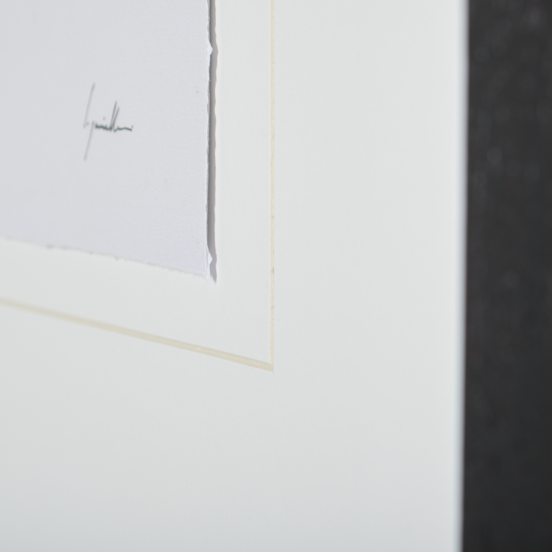 Magnolia II by Gabrielle C a Framed Art Print Matted under Glass 7 Magnolia II by Gabrielle C a Framed Art Print Matted under Glass - Image 7