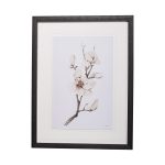Magnolia III by Gabrielle C a Framed Art Print Matted under Glass 8 Magnolia III by Gabrielle C a Framed Art Print Matted under Glass