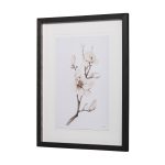 Magnolia III by Gabrielle C a Framed Art Print Matted under Glass 10 Magnolia III by Gabrielle C a Framed Art Print Matted under Glass