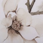 Magnolia III by Gabrielle C a Framed Art Print Matted under Glass 14 Magnolia III by Gabrielle C a Framed Art Print Matted under Glass