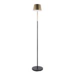 Metric Industrial Black and Antique Brass Adjustable Floor Lamp