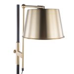 Metric Industrial Black and Antique Brass Adjustable Floor Lamp