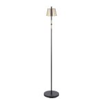 Metric Industrial Black and Antique Brass Adjustable Floor Lamp