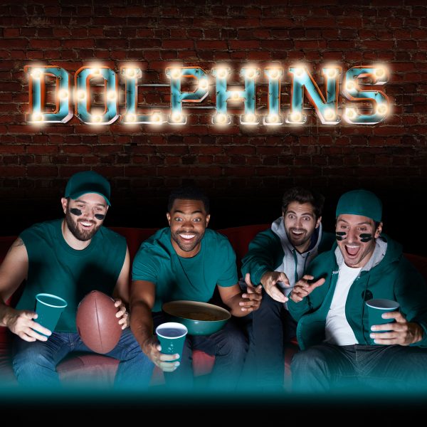 Miami Dolphins Recycled Metal Lighted Wordmark Logo Sign 1