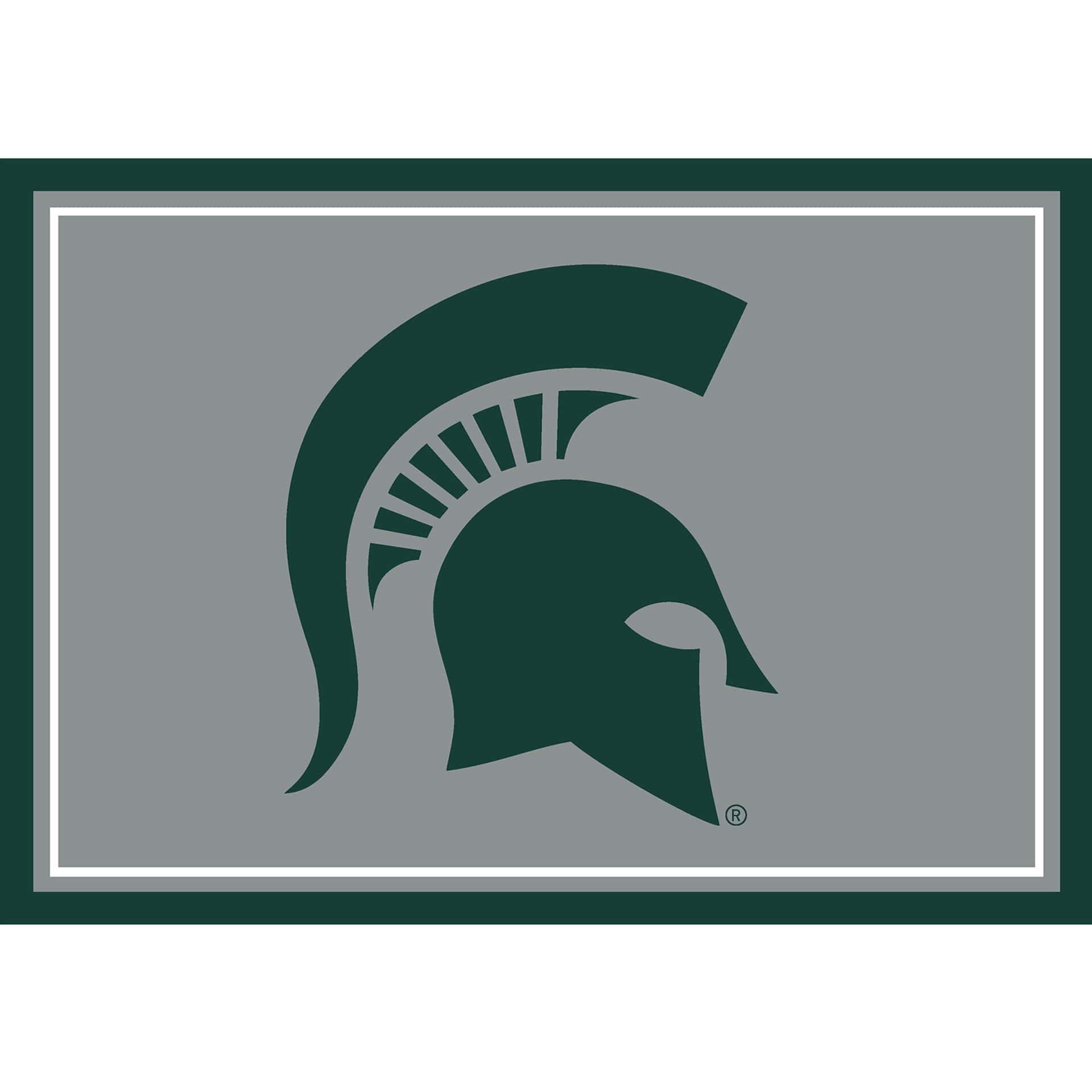 Michigan State 3x4 Area Rug 4 Michigan State 3x4 Area Rug - Image 4