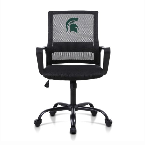 Michigan State Task Chair 1