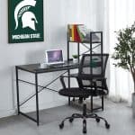 Michigan State Task Chair 6 Michigan State Task Chair