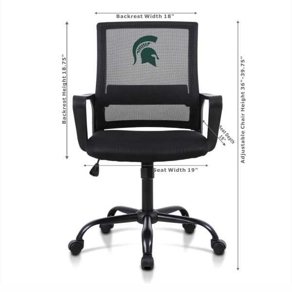 Michigan State Task Chair 3
