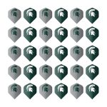 Michigan State University Fan's Choice Flights
