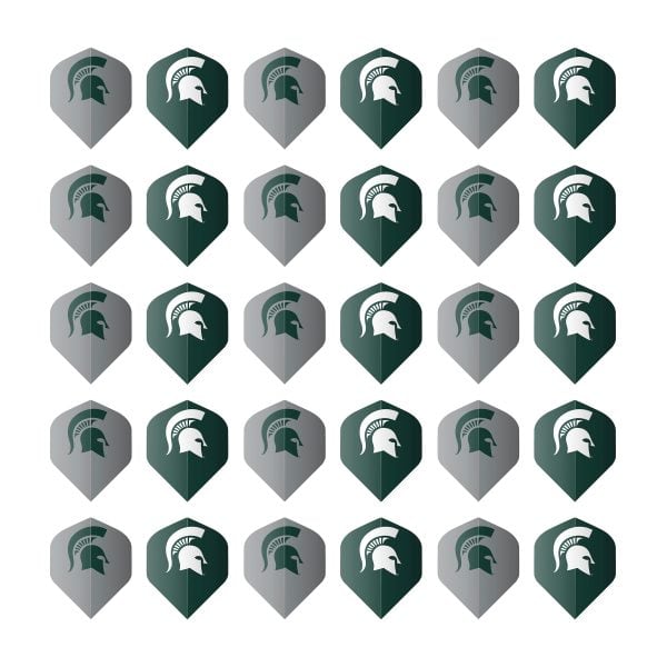 Michigan State University Fans Choice Flights 3