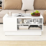 Modern Coffee Table with Dual-Tier Storage and Spacious Tabletop 13 Modern Coffee Table with Dual-Tier Storage and Spacious Tabletop