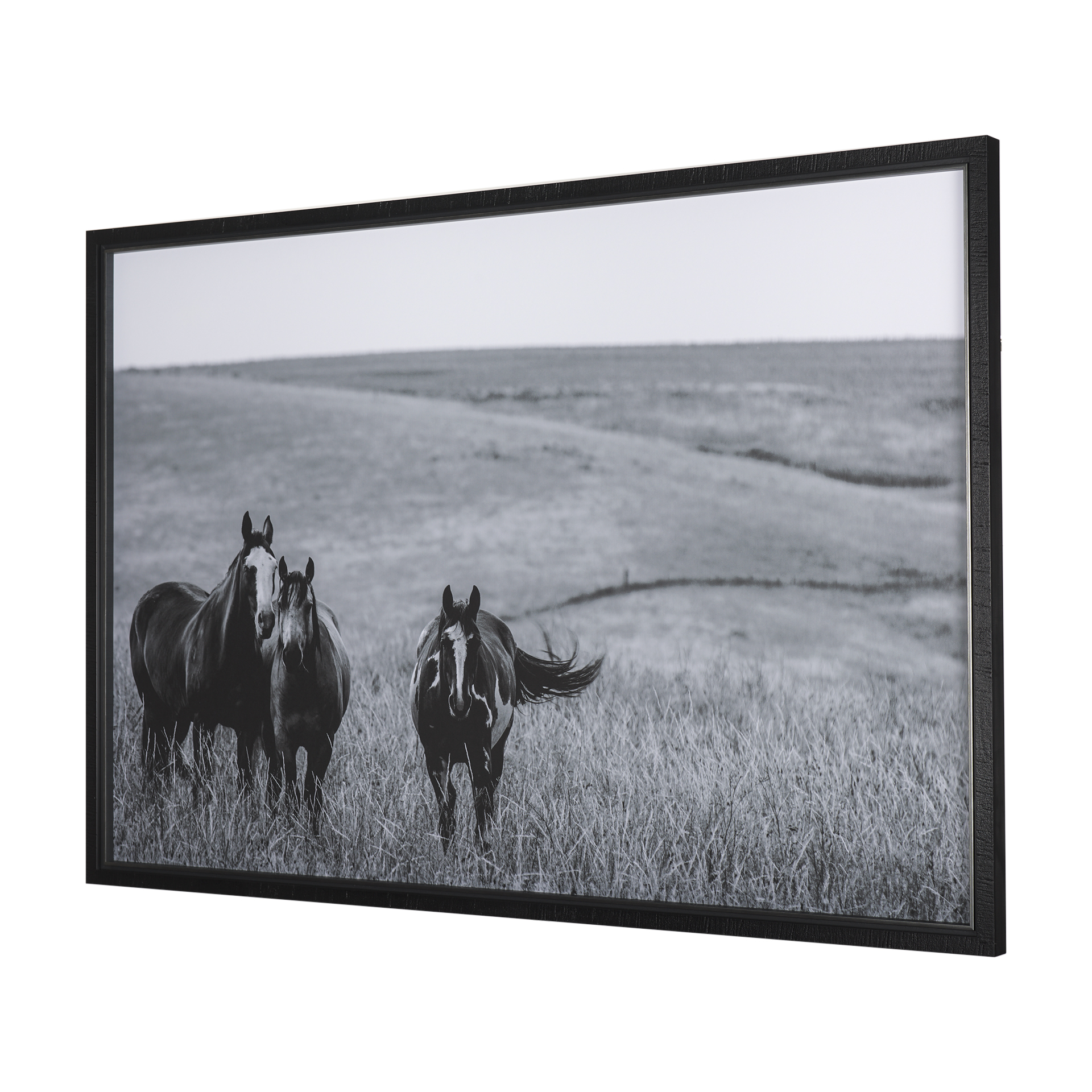 Montana Moves by Mercana Studio a Framed Art Print Matted under Glass 3 Montana Moves by Mercana Studio a Framed Art Print Matted under Glass - Image 3