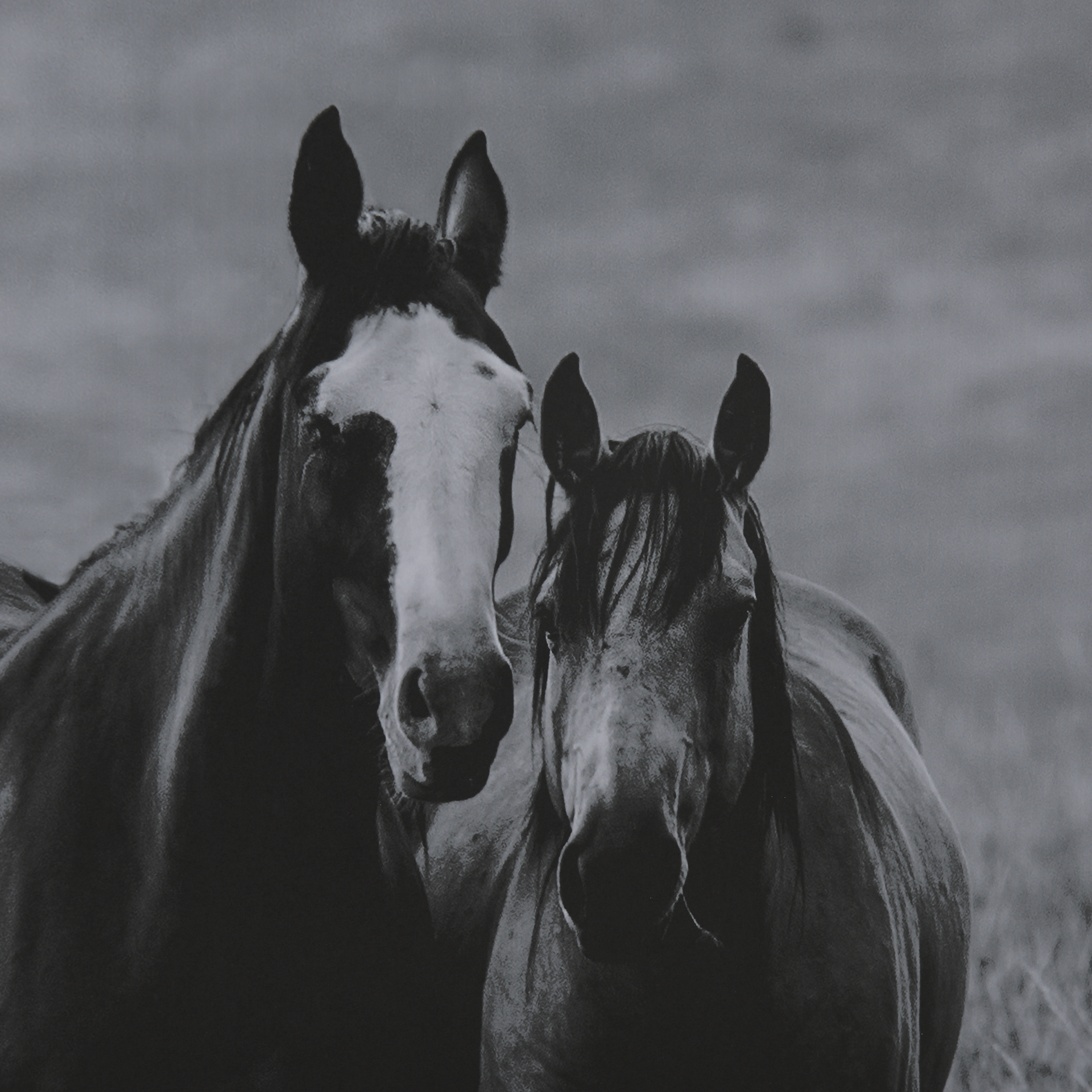 Montana Moves by Mercana Studio a Framed Art Print Matted under Glass 8 Montana Moves by Mercana Studio a Framed Art Print Matted under Glass - Image 8