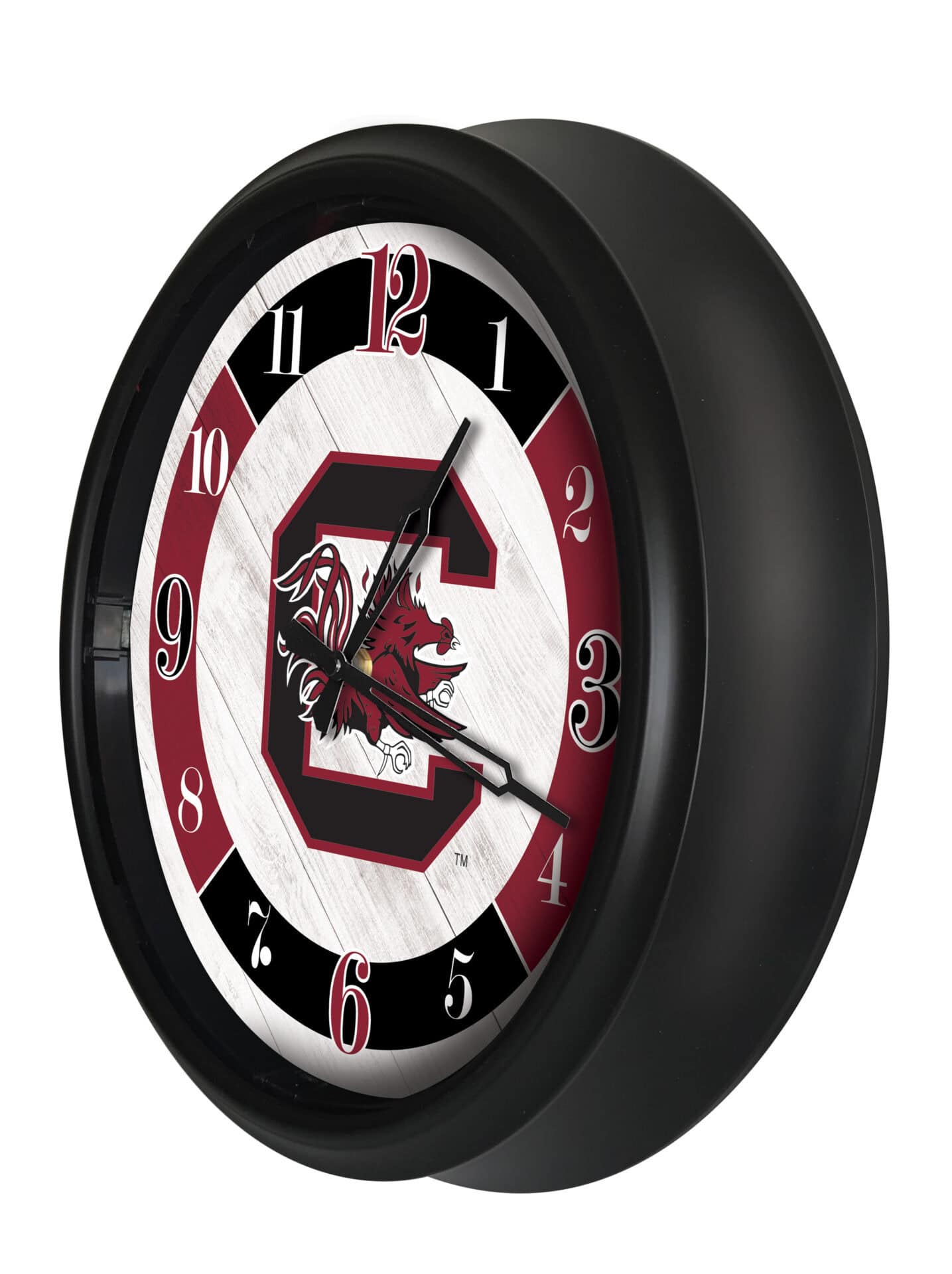 University of South Carolina 14-Inch Indoor/Outdoor LED Wall Clock in Black 2 University of South Carolina 14-Inch Indoor/Outdoor LED Wall Clock in Black - Image 2