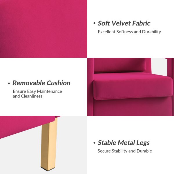 Oran Fushia Velvet Accent Chair with Gold Legs 2