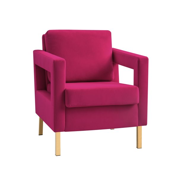 Oran Fushia Velvet Accent Chair with Gold Legs