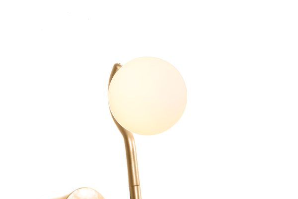 PLUTO Brass Powder Coated Frame Wall Lamp 3