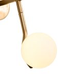 PLUTO Brass Powder Coated Frame Wall Lamp