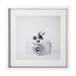 Panda & Vintage Camera by Susannah Tucker Photography a Framed Art Print Matted under Glass 6 Panda & Vintage Camera by Susannah Tucker Photography a Framed Art Print Matted under Glass