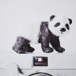 Panda & Vintage Camera by Susannah Tucker Photography a Framed Art Print Matted under Glass 10 Panda & Vintage Camera by Susannah Tucker Photography a Framed Art Print Matted under Glass