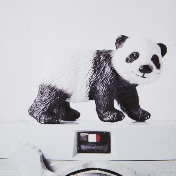 Panda Vintage Camera by Susannah Tucker Photography a Framed Art Print Matted under Glass 5