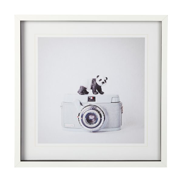Panda Vintage Camera by Susannah Tucker Photography a Framed Art Print Matted under Glass
