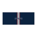 Patriots Chrome USB Charging Lamp with Changeable Shade Insert