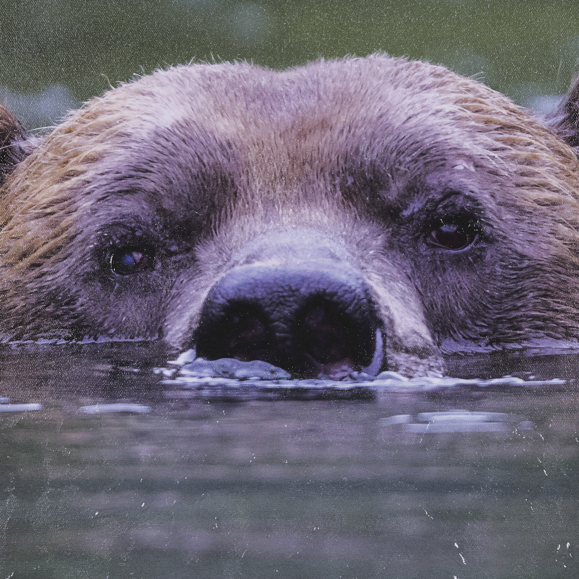 Peeking Out by Mercana Studio a Hand Embelished Textured Framed Art Print 4 Peeking Out by Mercana Studio a Hand Embelished Textured Framed Art Print - Image 4